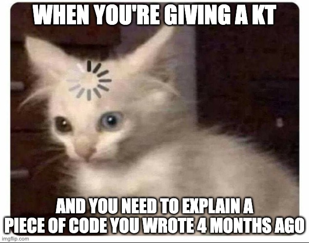 Confused Kitten Meme