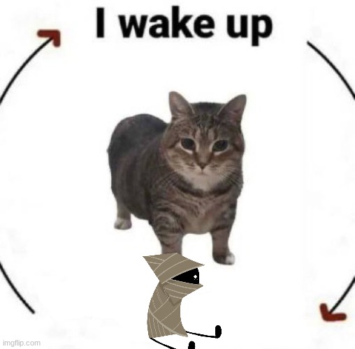 the mayor of can town | image tagged in i wake up cat | made w/ Imgflip meme maker