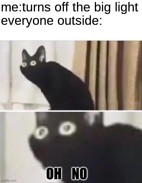 big light=the sun btw | me:turns off the big light
everyone outside:; OH    NO | image tagged in oh no black cat | made w/ Imgflip meme maker