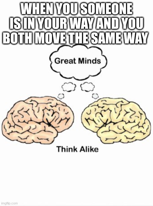 Great minds think alike | WHEN YOU SOMEONE IS IN YOUR WAY AND YOU BOTH MOVE THE SAME WAY | image tagged in great minds think alike | made w/ Imgflip meme maker
