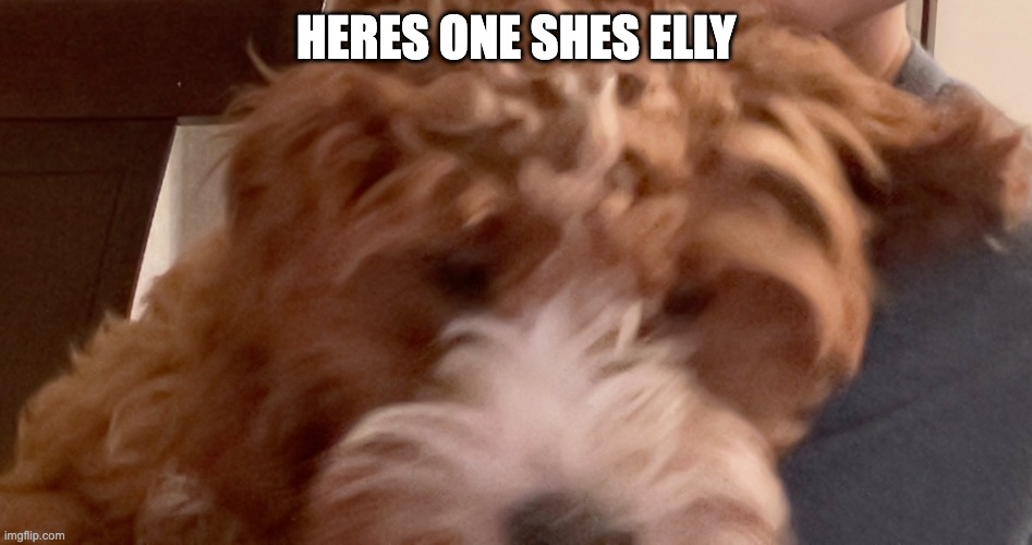 HERES ONE SHES ELLY | made w/ Imgflip meme maker