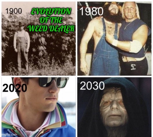 EVOLUTION OF THE WEED DEALER | image tagged in funny,memes,cannabis,so true memes,politics,dark humor | made w/ Imgflip meme maker