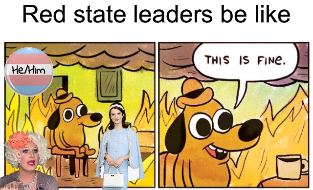 This Is Fine Meme | Red state leaders be like | image tagged in memes,this is fine | made w/ Imgflip meme maker