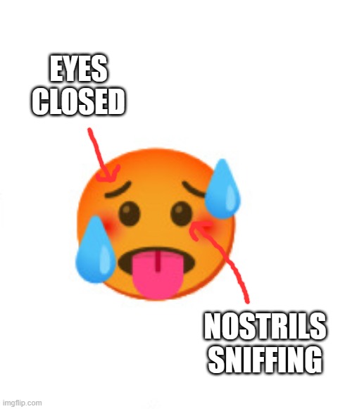 EYES CLOSED NOSTRILS SNIFFING | made w/ Imgflip meme maker
