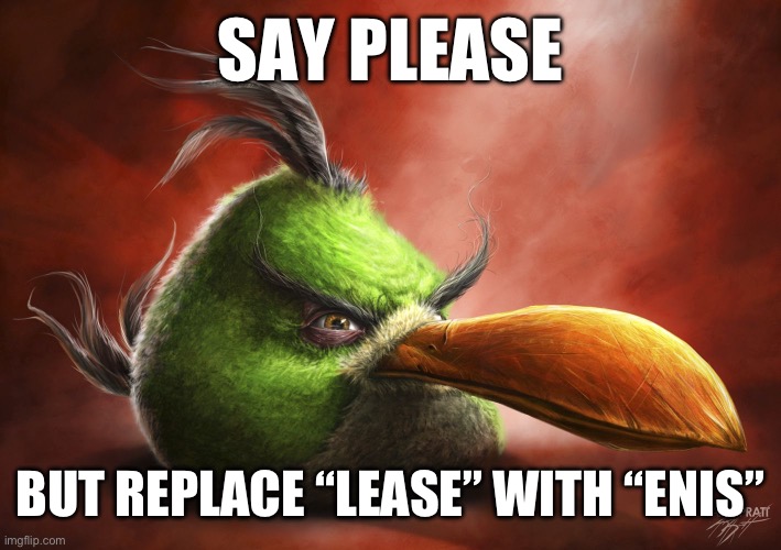 Say it | SAY PLEASE; BUT REPLACE “LEASE” WITH “ENIS” | image tagged in realistic angry bird | made w/ Imgflip meme maker