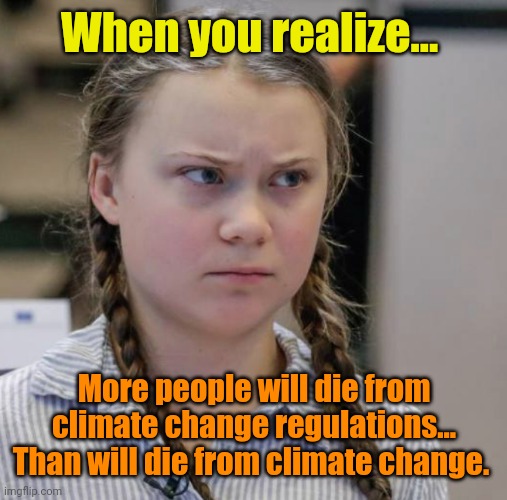 Angry Greta Thunberg | When you realize... More people will die from climate change regulations... Than will die from climate change. | image tagged in angry greta thunberg | made w/ Imgflip meme maker
