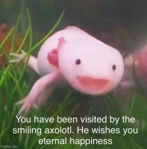 Amazing stream! | image tagged in wholesom axolotl | made w/ Imgflip meme maker