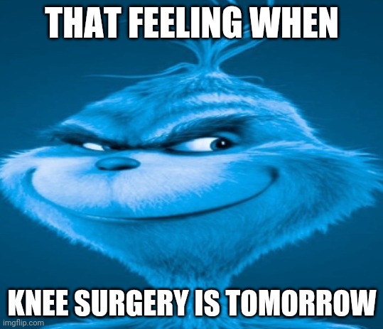 The blue grinch | THAT FEELING WHEN; KNEE SURGERY IS TOMORROW | image tagged in the blue grinch | made w/ Imgflip meme maker