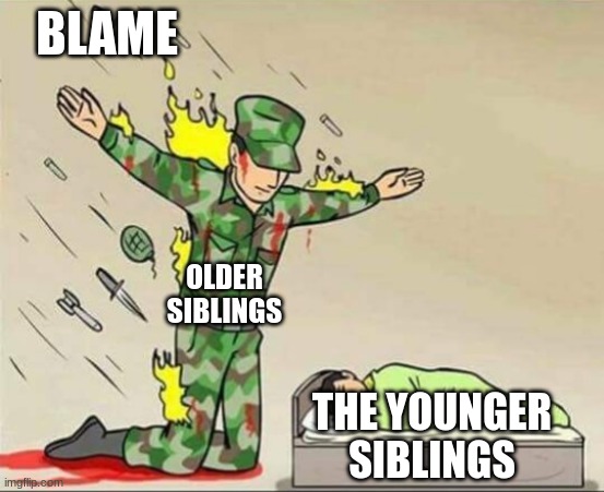 true | BLAME; OLDER SIBLINGS; THE YOUNGER SIBLINGS | image tagged in soldier protecting sleeping child | made w/ Imgflip meme maker