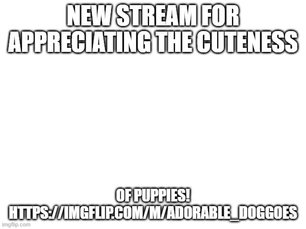 ANNOUNCEMENT | NEW STREAM FOR APPRECIATING THE CUTENESS; OF PUPPIES! HTTPS://IMGFLIP.COM/M/ADORABLE_DOGGOES | image tagged in stream,new stream | made w/ Imgflip meme maker