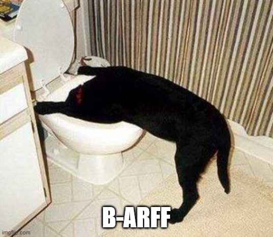 image #1 | B-ARFF | image tagged in sick puppy | made w/ Imgflip meme maker