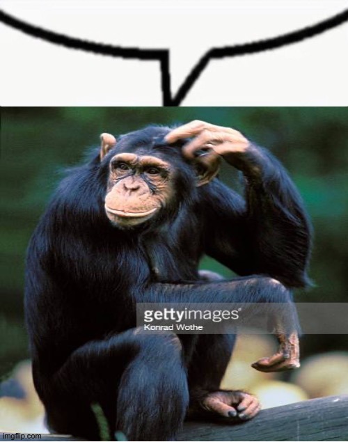 Monkey speech bubble | image tagged in monkey speech bubble | made w/ Imgflip meme maker