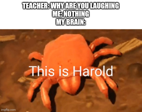 TEACHER: WHY ARE YOU LAUGHING
ME: NOTHING
MY BRAIN: | image tagged in this is harold,memes,funny,why are you laughing,my brain | made w/ Imgflip meme maker