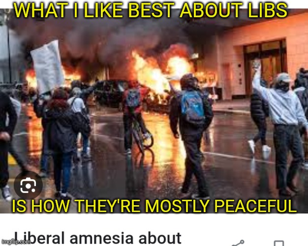 WHAT I LIKE BEST ABOUT LIBS IS HOW THEY'RE MOSTLY PEACEFUL | made w/ Imgflip meme maker