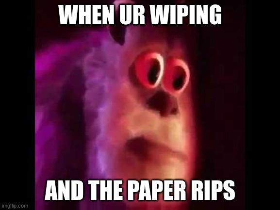 oh no.... | WHEN UR WIPING; AND THE PAPER RIPS | image tagged in sully groan | made w/ Imgflip meme maker