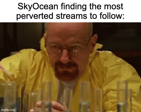 Walter White Cooking | SkyOcean finding the most perverted streams to follow: | image tagged in walter white cooking | made w/ Imgflip meme maker