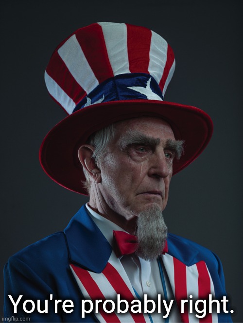 Uncle Sam Crying | You're probably right. | image tagged in uncle sam crying | made w/ Imgflip meme maker