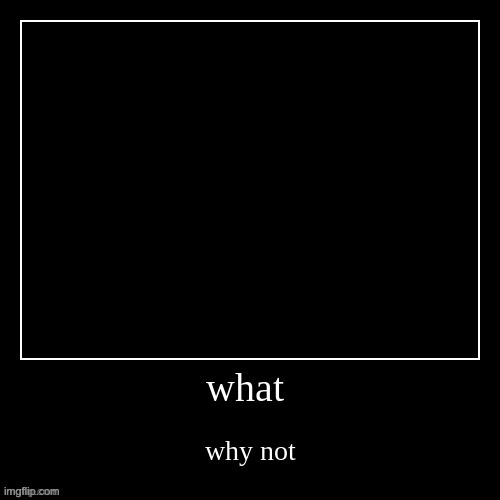 what why not | image tagged in what why not | made w/ Imgflip meme maker