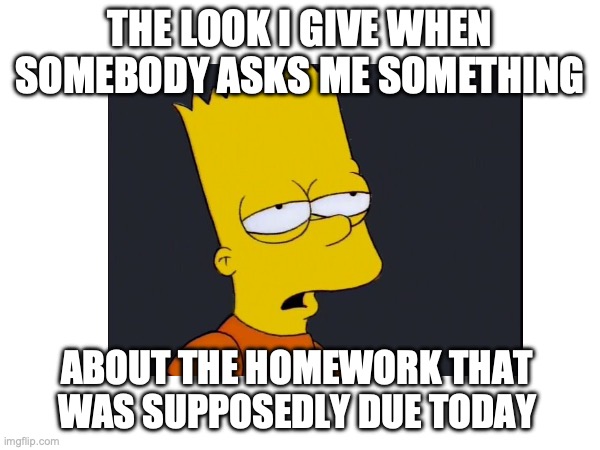 Late Work | THE LOOK I GIVE WHEN
SOMEBODY ASKS ME SOMETHING; ABOUT THE HOMEWORK THAT WAS SUPPOSEDLY DUE TODAY | image tagged in tired,time management | made w/ Imgflip meme maker