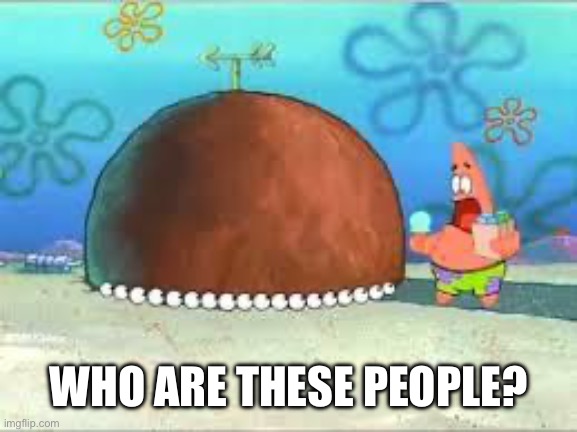 WHO ARE YOU PEOPLE? | WHO ARE THESE PEOPLE? | image tagged in who are you people | made w/ Imgflip meme maker