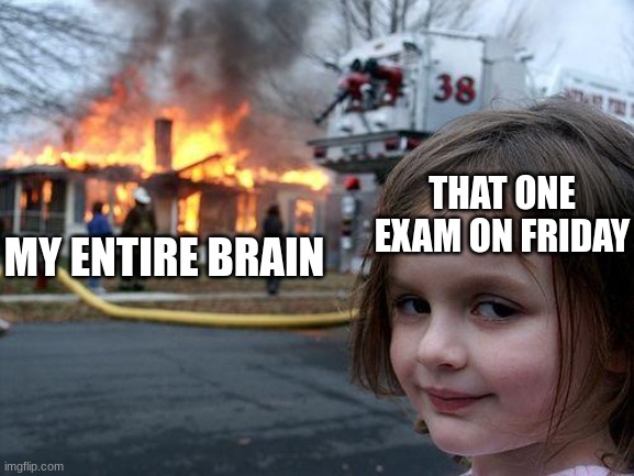 Disaster Girl | MY ENTIRE BRAIN; THAT ONE EXAM ON FRIDAY | image tagged in memes,disaster girl | made w/ Imgflip meme maker