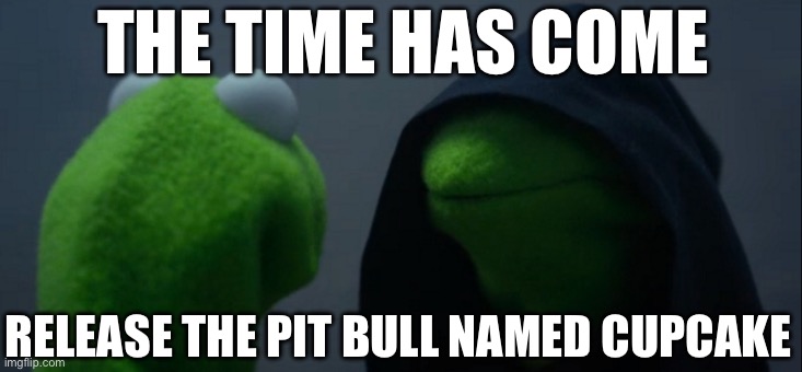 Evil Kermit | THE TIME HAS COME; RELEASE THE PIT BULL NAMED CUPCAKE | image tagged in memes,evil kermit | made w/ Imgflip meme maker