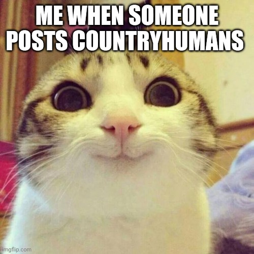 Smiling Cat | ME WHEN SOMEONE POSTS COUNTRYHUMANS | image tagged in memes,smiling cat | made w/ Imgflip meme maker
