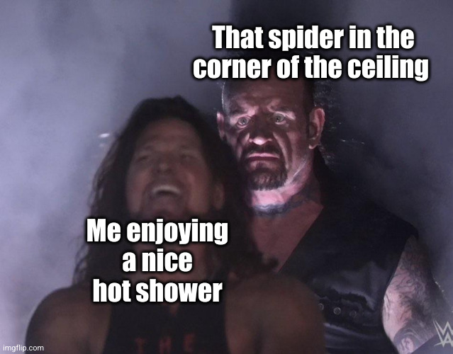 of course it will jump on me and stuff right when I turn around... | That spider in the corner of the ceiling; Me enjoying a nice hot shower | image tagged in undertaker,shower,spider,scary,uh oh,scared | made w/ Imgflip meme maker