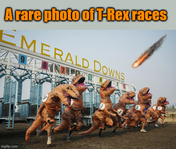 T-rex races | A rare photo of T-Rex races | image tagged in t-rex races | made w/ Imgflip meme maker