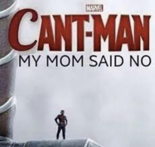 Can't Man, My Mom Said No | image tagged in can't man my mom said no | made w/ Imgflip meme maker