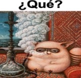 ¿Qué? | image tagged in qu | made w/ Imgflip meme maker