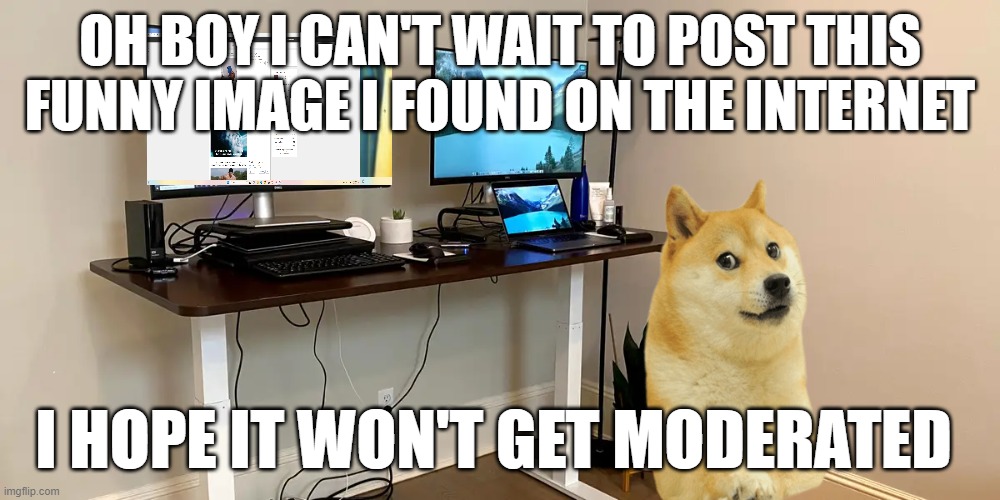 le repost has arrived | OH BOY I CAN'T WAIT TO POST THIS FUNNY IMAGE I FOUND ON THE INTERNET; I HOPE IT WON'T GET MODERATED | image tagged in doge,funny,front page,cool | made w/ Imgflip meme maker