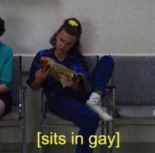 Sits in gay | image tagged in sits in gay | made w/ Imgflip meme maker