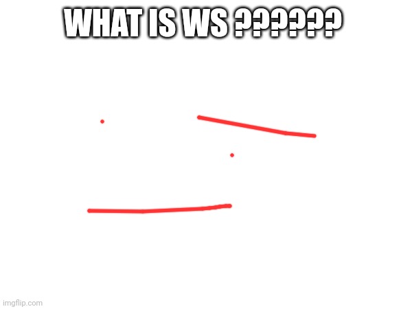 WHAT ARE YOU SAYING IN MY LORE DROP | WHAT IS WS ?????? | image tagged in what | made w/ Imgflip meme maker