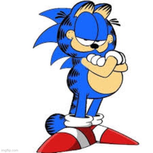 image tagged in sonic the hedgehog,garfield | made w/ Imgflip meme maker