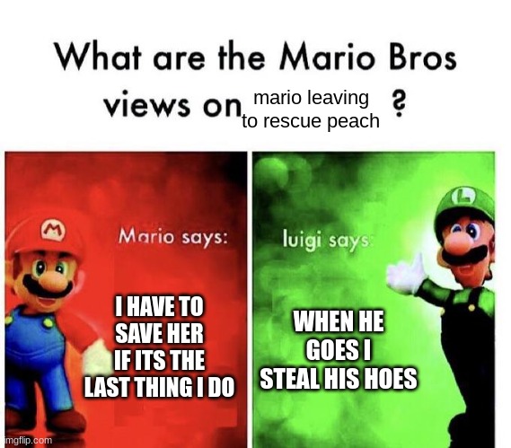 Mario Bros Views | I HAVE TO SAVE HER IF ITS THE LAST THING I DO WHEN HE GOES I STEAL HIS HOES mario leaving to rescue peach | image tagged in mario bros views | made w/ Imgflip meme maker