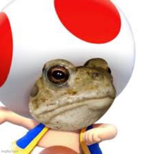 image tagged in toad | made w/ Imgflip meme maker