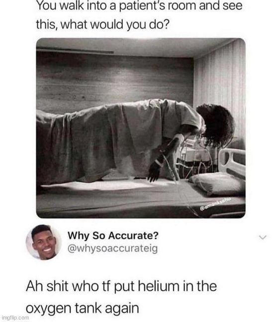 image tagged in memes | made w/ Imgflip meme maker
