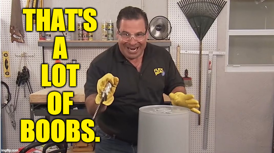 Phil Swift That's A Lotta Damage (Flex Tape/Seal) | THAT'S
A
LOT
OF
BOOBS. | image tagged in phil swift that's a lotta damage flex tape/seal | made w/ Imgflip meme maker