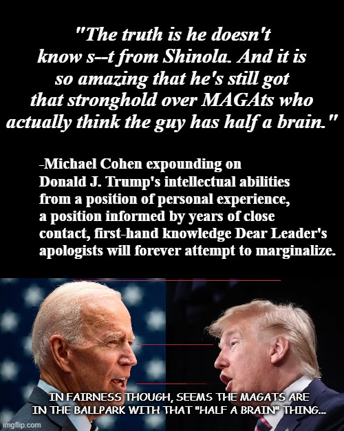 The criminal's most zealous and dangerous foe is the accomplice who realizes the error of their ways. | "The truth is he doesn't know s--t from Shinola. And it is so amazing that he's still got that stronghold over MAGAts who actually think the guy has half a brain."; -Michael Cohen expounding on Donald J. Trump's intellectual abilities from a position of personal experience, a position informed by years of close contact, first-hand knowledge Dear Leader's apologists will forever attempt to marginalize. IN FAIRNESS THOUGH, SEEMS THE MAGATS ARE IN THE BALLPARK WITH THAT "HALF A BRAIN" THING... | image tagged in short black template,justice,trump unfit unqualified dangerous | made w/ Imgflip meme maker