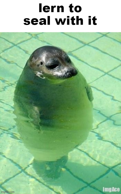 Standing Seal | lern to seal with it | image tagged in standing seal | made w/ Imgflip meme maker
