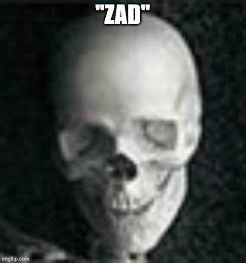 Skull | "ZAD" | image tagged in skull | made w/ Imgflip meme maker