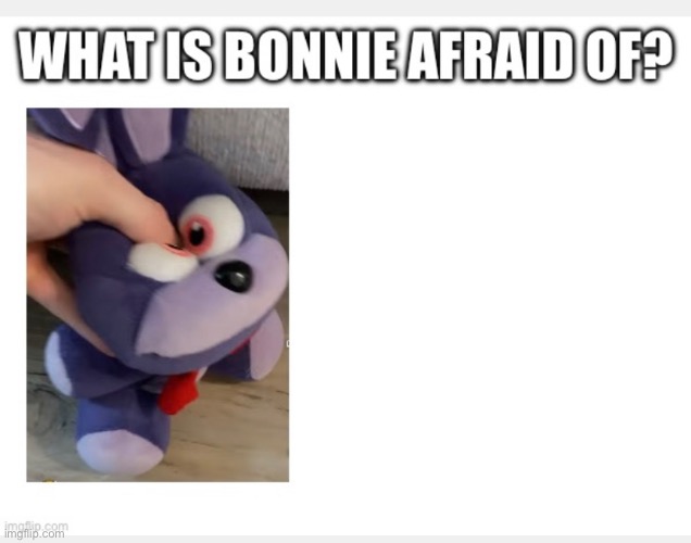 What is Bonnie afraid of | image tagged in fnaf | made w/ Imgflip meme maker