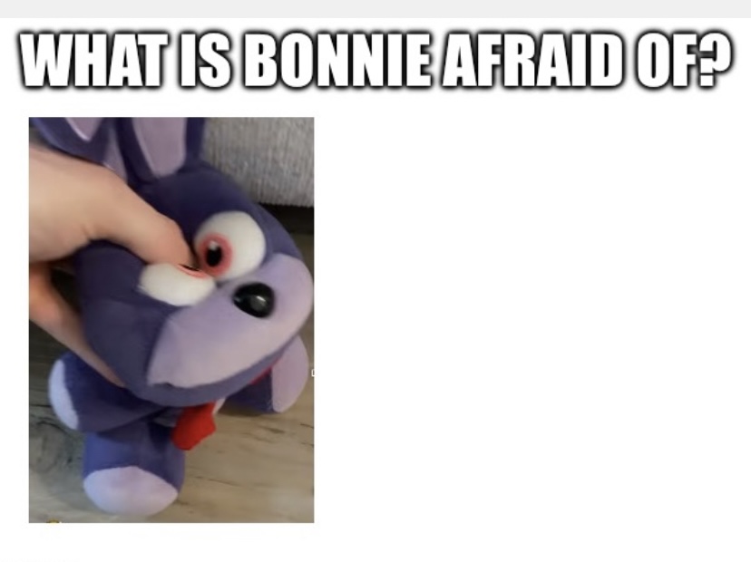 What is Bonnie afraid of? Blank Meme Template