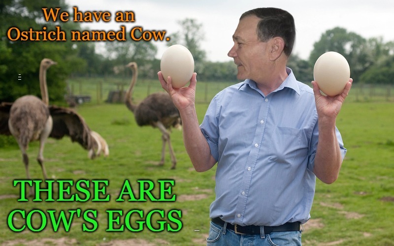 Cow's Eggs | WE HAVE AN OSTRICH NAMED COW; THESE ARE COW'S EGGS | image tagged in cow's eggs,ostridge named cow | made w/ Imgflip meme maker
