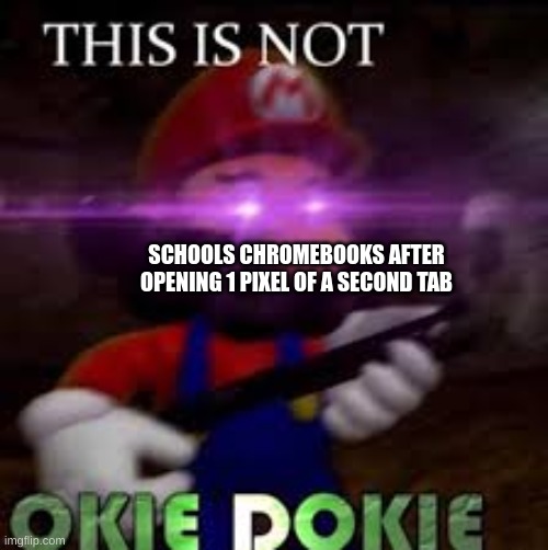 this is so true | SCHOOLS CHROMEBOOKS AFTER OPENING 1 PIXEL OF A SECOND TAB | image tagged in this is not okie dokie,funny | made w/ Imgflip meme maker