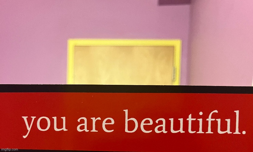 Saw this in the woman’s bathroom in a store. Made my day, I hope it makes yours | image tagged in nice,so true meme | made w/ Imgflip meme maker