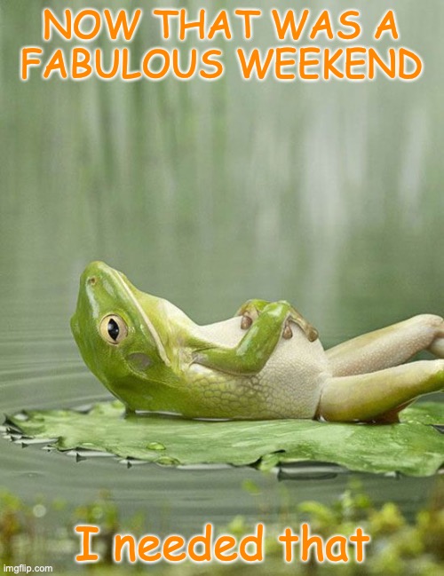 Weekend Frog | NOW THAT WAS A 
FABULOUS WEEKEND; I needed that | image tagged in weekend frog | made w/ Imgflip meme maker