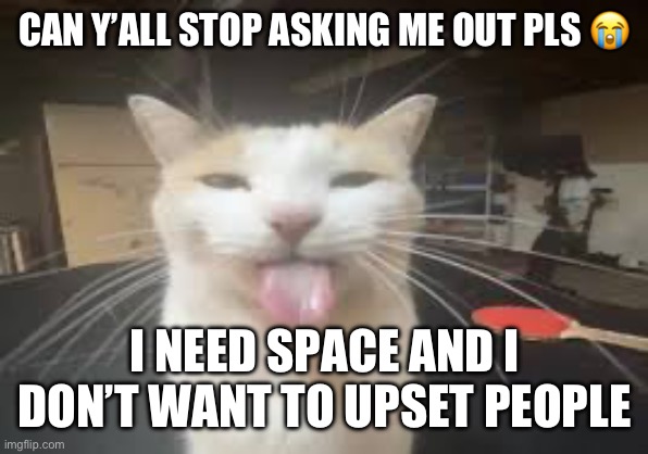 Cat | CAN Y’ALL STOP ASKING ME OUT PLS 😭; I NEED SPACE AND I DON’T WANT TO UPSET PEOPLE | image tagged in cat | made w/ Imgflip meme maker