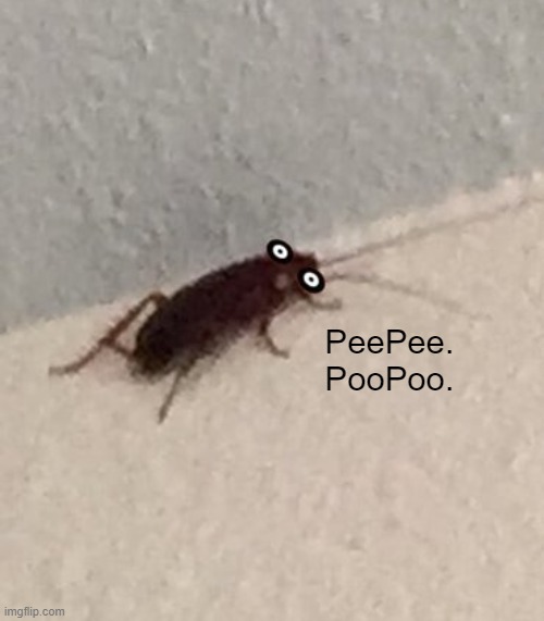 PeePee.
PooPoo. | made w/ Imgflip meme maker